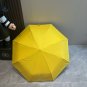 ARCTERYX (Archaeopteryx) Triple Fold Automatic Folding Sunny Umbrella with New Coating_2801