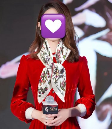 0 new Dior official website synchronized Camo Papillon pattern print [Celebration] pres