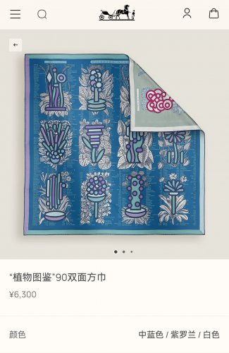 0 SHMS252718mm double-sided heterochromatic 90x90cm twill silkHermes' Plant Catalog_6034