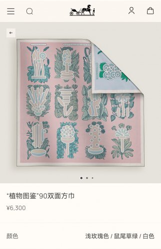 0 SHMS252718mm double-sided heterochromatic 90x90cm twill silkHermes' Plant Catalog_6035