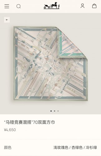 0 SHMS252818mm double-sided heterochromatic 90x90cm twill silkHermes' Stieg Competi_6031