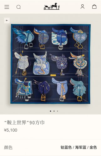 5 SHMS250118mm double-sided 90x90cm diagonal silkHermes' World on a Saddle_2626