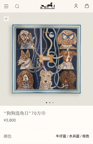 5 SHMS250218mm double-sided 90x90cm diagonal silkHermes' Dog Casting Day_2621