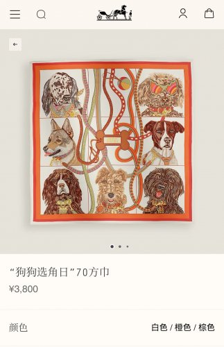 5 SHMS250218mm double-sided 90x90cm diagonal silkHermes' Dog Casting Day_5092