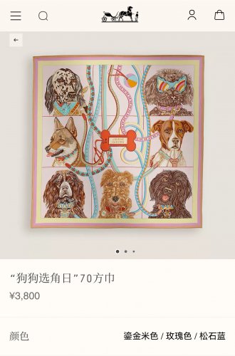 5 SHMS250218mm double-sided 90x90cm diagonal silkHermes' Dog Casting Day_5093