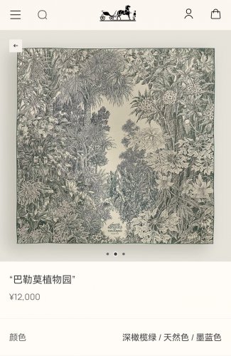 5 SHMS252618mm double-sided 90x90cm diagonal silkHermes' Palermo Botanical Garden