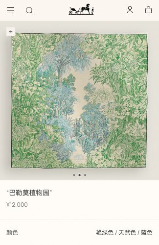 5 SHMS252618mm double-sided 90x90cm diagonal silkHermes' Palermo Botanical Garden_1645