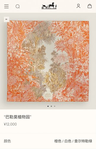 5 SHMS252618mm double-sided 90x90cm diagonal silkHermes' Palermo Botanical Garden_1646
