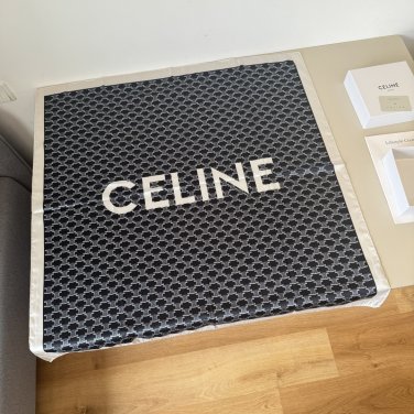 ch 110CELINE's new silk handkerchief[Triumphal Arch Printed Square Scarf] Beautiful_2803
