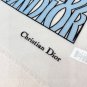 Dior new cashmere scarf long shawl! Pure luxury and fashion sense! That's so tasteful!
