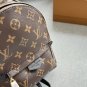 200 complete gift boxessizeï¼14Ã20LV Palm Springs backpack, backpack, small chili pep