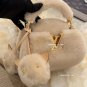 Adored by LV's new plush cap#How could a handbag have such a cute bagThe furry texture_2280