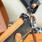 LV Diane Nano Mini Stick Bag p165LV Diane Nano Mini Stick Bag, Classic MonogramEmprein_2069