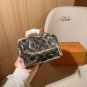 one hundred and twenty-fiveLVLouis VuittonNew Mirror Skiing Series Speedy20 Pillow Ba_2377