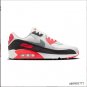 Air Max 90 GTX Infrared Shoes Sneakers