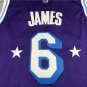 22 Lakers 6 City Edition Purple  Jersey