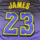 25 Lakers 23 City Edition Purple  Jersey