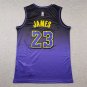25 Lakers 23 City Edition Purple  Jersey
