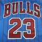 Bull 23 Blue Stripe  Jersey