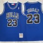 Bull 23 Retro Blue  Jersey