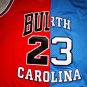 Bulls North Carolina 23 color blocked  Jersey