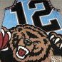 Grizzly 12 print light blue  Jersey