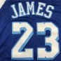 Lakers 23 Latin Edition Blue  Jersey