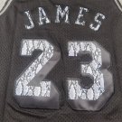 Lakers 23 Retro Serpentine Pattern  Jersey
