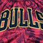 Pocket Bull Tiger Year Edition Red Pants  Jersey