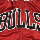 Pocket Bulls Regular Red Pants  Jersey