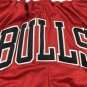 Pocket Bulls Regular Red Pants  Jersey