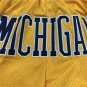 Pocket Michigan Yellow Pants  Jersey