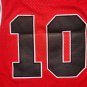 Slam Dunk 10 # Sakuragi Flower Path Embroidered Red  Jersey