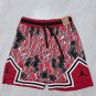Jordan B-2 Lightning Red Ball Pants