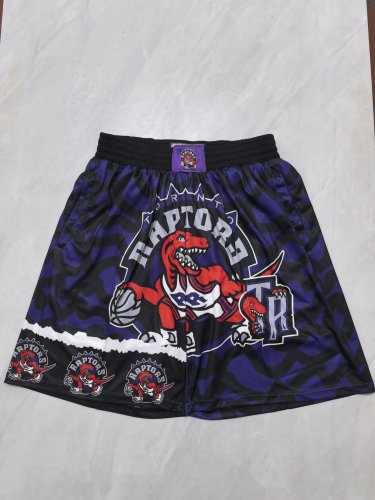 Raptors purple heat transfer pocket ball pants