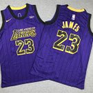 Lakers 23 purple striped. jpg