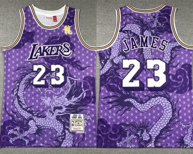 Men Lakers LeBron James Mitchell & Ness Dragon's Basketball  Purple