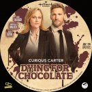 Curious Caterer: Dying for Chocolate Hallmark DVD - Disc Only