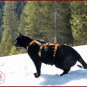HARNAIS ANTI-FUITE POUR CHAT, Harnais de s&Atilde;&copy;curit&Atilde;&copy; r&Atilde;&copy;glable pour chats d'aventure
