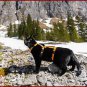 HARNAIS ANTI-FUITE POUR CHAT, Harnais de s&Atilde;&copy;curit&Atilde;&copy; r&Atilde;&copy;glable pour chats d'aventure