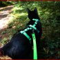 HARNAIS ANTI-FUITE POUR CHAT, Harnais de s&Atilde;&copy;curit&Atilde;&copy; r&Atilde;&copy;glable pour chats d'aventure