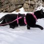 HARNAIS ANTI-FUITE POUR CHAT, Harnais de sécurité réglable pour chats d'aventure