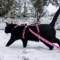 HARNAIS ANTI-FUITE POUR CHAT, Harnais de sécurité réglable pour chats d'aventure