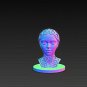Abstract Female Bust 3D Sculpture: Organic Pattern STL File (Digital Download)