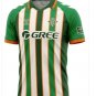 Men Real Betis Forever Green Special Jersey 2025-2026 Shirt Soccer Football 25-26