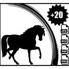 Horse Silhouette | Horse SVG | Horseshoe SVG | Horse Head Svg | Horse Vector