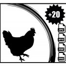 CHICKEN SVG, FARM Animals Svg, Farm Animal Svg cut files for Cricut, Chicken Cut files for Cricut