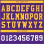 Custom Purple Football Jersey Player Fans Team Uniforms For Adult and Youth