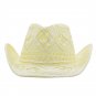 Western Cowboy Hat Wide Brim Sun Protection Jazz Hat Fashion Outdoor Straw Cap