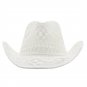 Western Cowboy Hat Wide Brim Sun Protection Jazz Hat Fashion Outdoor Straw Cap